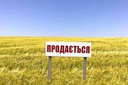 Хто зможе купувати землю в Україні з 1 липня