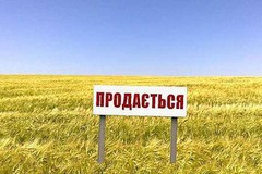 Хто зможе купувати землю в Україні з 1 липня