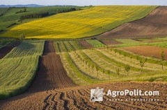 Уряд сьогодні розгляне зміни до законопроєкту щодо умов обігу земель сільськогосподарського призначення