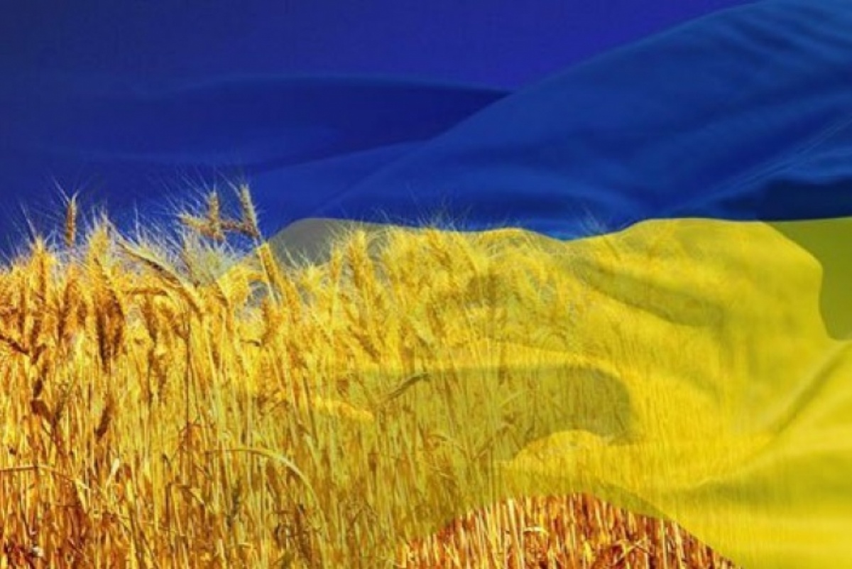 Україна виступає за вирівнювання умов світової торгівлі сільгосппродукцією