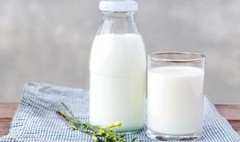 Держава та бізнес мають співпрацювати для забезпечення якості та безпечності сирого молока – Магалецька