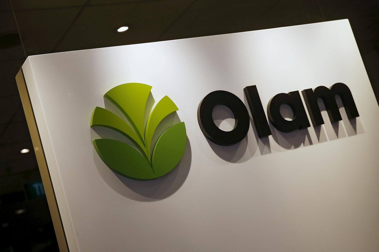 ДФС чинить тиск на міжнародну компанію OLAM з Сінгапуру