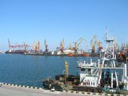 Морські порти України скоротили вантажоперевалку зерна на 33,1%