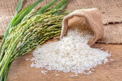 В Україні виросла середня врожайність рису