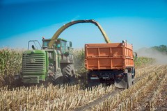 ВРУ прийняла закон, що зобов'язує аграріїв встановлювати ваги на кожне поле, інакше — 34 тис. грн штрафу з вантажівки