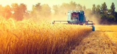7100 аграрних розписок на суму близько 42 млрд грн видано в Україні