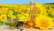 В Україні зросте експорт соняшникової олії