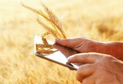 Для українських аграріїв створять платформу «АгроДія»