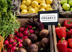 В Україні проводять масштабну кампанію популяризації органічних сертифікованих харчових продуктів