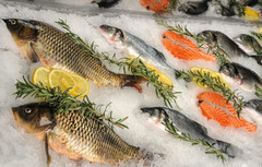 Від початку року грошові надходження від експорту української риби та інших водних біоресурсів збільшилися на 28%, - Держрибагентство