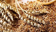 Мінагро та учасники зернового ринку підписали меморандум про максимальні обсяги експорту українського зерна