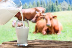 Ціни на молоко в Україні можуть зрости