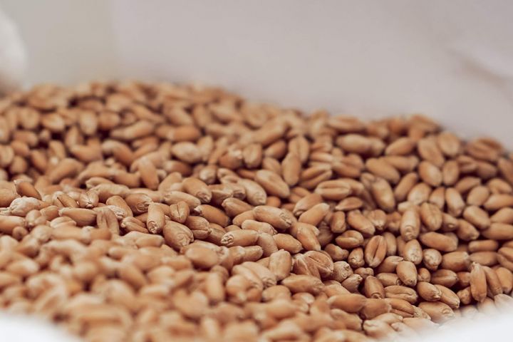 USDA збільшила прогноз врожаю пшениці в Україні до 30 млн т