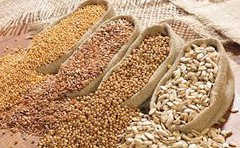 Україна з початку сезону експортувала 700 тис. тонн зерна
