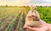 Фермери зможуть отримати державні гарантії на портфельній основі для придбання землі