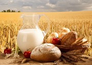 У 2021 році сільгоспвиробництво в Україні скоротилося на 8,2%