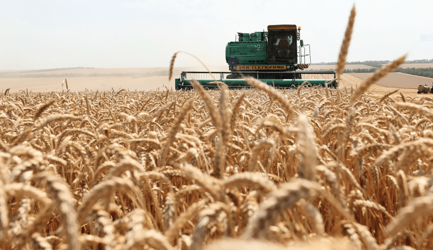Ливні не вплинуть на валовий збір врожаю зернових в масштабах України – Адаменко