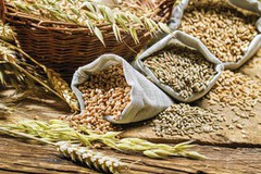 Європейський офіс USDA збільшив прогнози виробництва зерна для ЄС