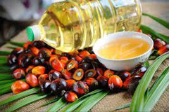 Обвал цін на пальмову олію посилить тиск на котирування української соняшникової олії