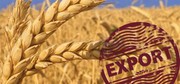 Експорт зернових з України перевищив 3 млн. т.