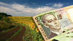 Чистий прибуток агропідприємств України в 2020 році став найбільшим серед усіх видів економічної діяльності