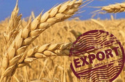 Україна експортувала 4 млн 113 тис. тонн зернових