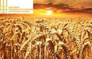 Мінекономіки ініціює робочу групу для трансформації Державної зернової корпорації