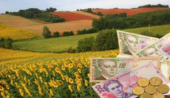 В Україні відновилося зростання сільгоспвиробництва