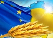 ЄС змінює політику доступу до аграрного ринку, і Україні вже варто адаптуватися