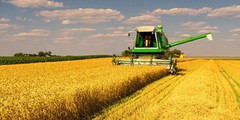«НІБУЛОН» закінчив збирання ранніх зернових із новим рекордом врожайності
