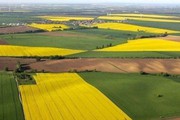 Будь-яке обмеження на купівлю землі в Україні має бути обґрунтовано та узгоджено