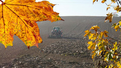 Зміни клімату посунули строки осінньої посівної в Україні