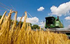 В Україні намолотила 45 млн т зерна