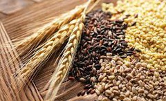 Україна експортувала майже 10,5 тис. тонн зерна