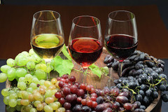 Держпродспоживслужба пропонує створити лабораторію для аналізу якості вина