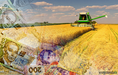 На аграрний сектор у 2022 році Уряд запланував виділити 8 млрд грн