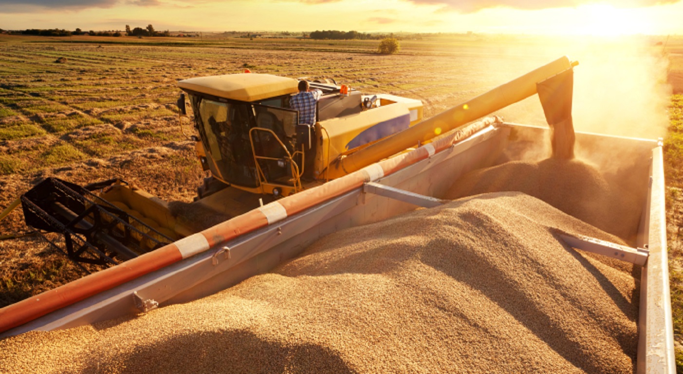 В серпні основним імпортером української пшениці була Індонезія