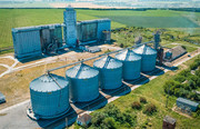 Елеватори АПК "Новаагро" заготовили понад 200 тис. т зернових та олійних