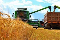 Цього сезону з України можна експортувати 24,4 млн тонн зерна