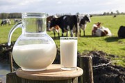 Держпродспоживслужба та Спілка молочних підприємств спільно боротимуться з фальсифікатом