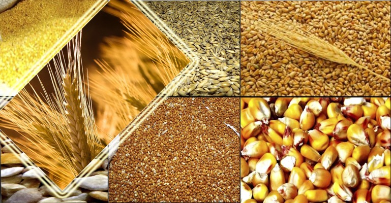 Україна експортувала 18,58 млн тонн зерна