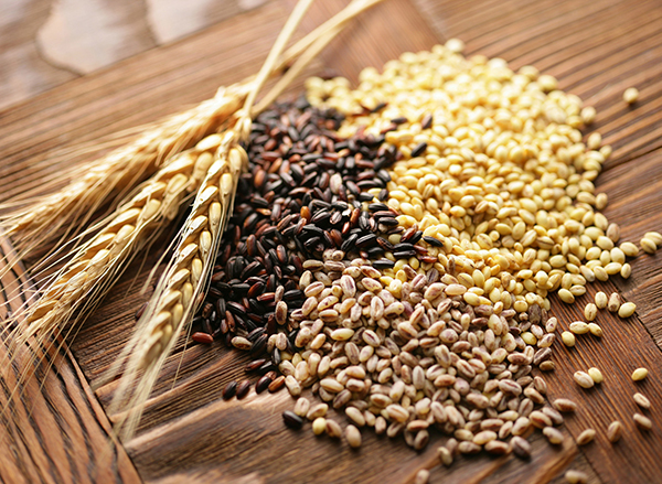 Грудневий звіт USDA оновив світові рекорди виробництва і запасів пшениці
