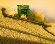 В Україні зібрано 47 млн тонн зерна