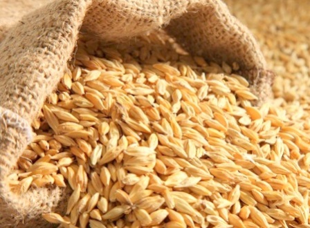 Експорт зернових перевищив 17 млн тонн