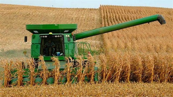 Валовий збір зерна в Україні перевищує 57 млн. тонн