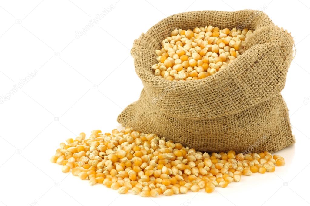 На минулому тижні в експортних з українських морпортів лідирувала кукурудза