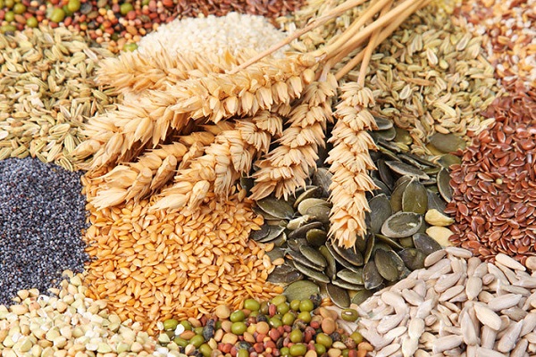 В Україні зібрано 52,5 млн тонн зернових культур
