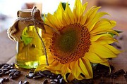 В Україні зросли експортні ціни на соняшникову олію