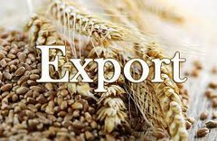 У вересні Україна експортувала понад 4,6 млн. тонн пшениці й 1 млн. тонн ячменю