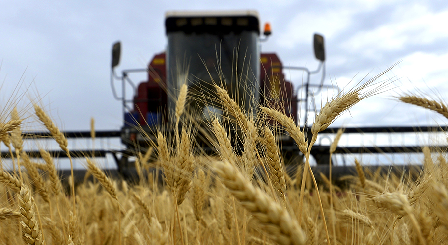 В Україні планують запровадити моніторинг руху зерна